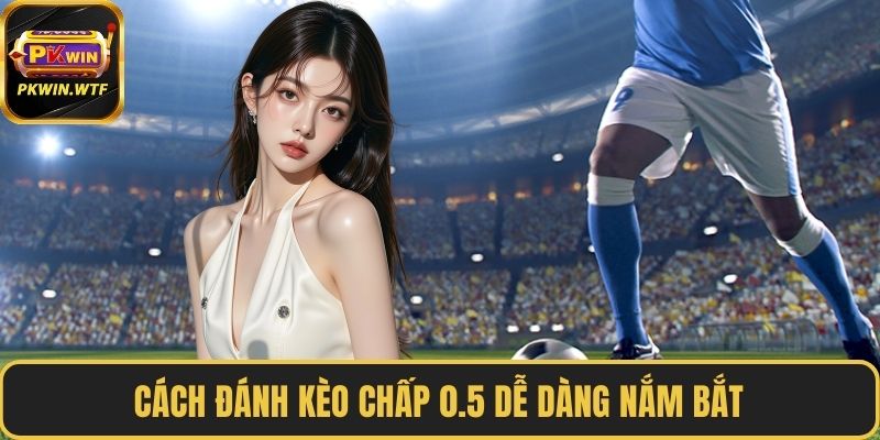 Cách đánh kèo chấp 0.5 dễ dàng nắm bắt