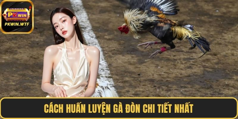 Cách huấn luyện gà đòn chi tiết nhất