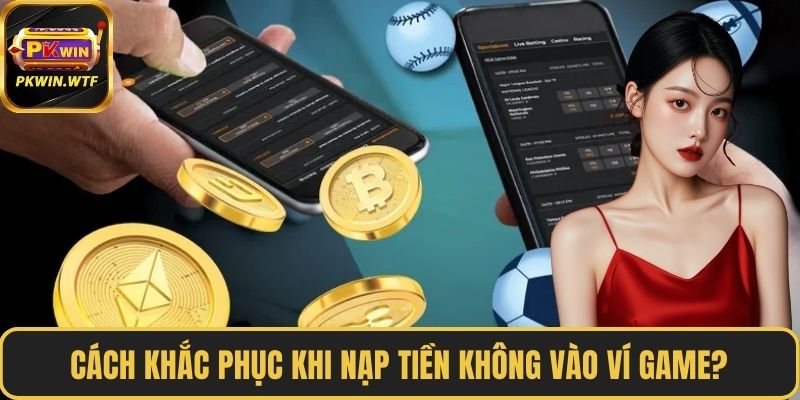Cách khắc phục khi nạp tiền không vào ví game?