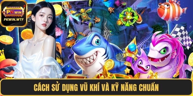 Cách sử dụng vũ khí và kỹ năng chuẩn