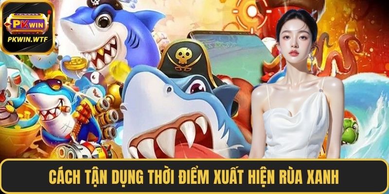 Cách tận dụng thời điểm xuất hiện Rùa xanh
