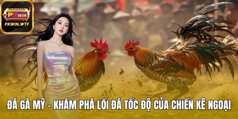 Đá Gà Mỹ