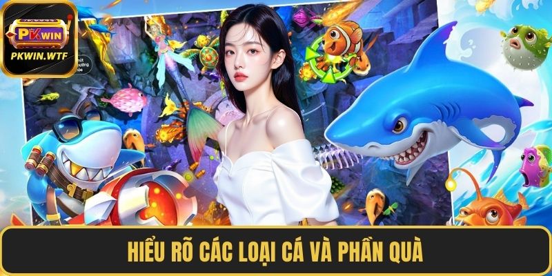 Hiểu rõ các loại cá và phần quà