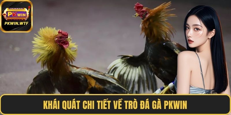 Khái quát chi tiết về trò đá gà PKWIN